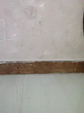 p0a8 online show from 22, 11, 2025