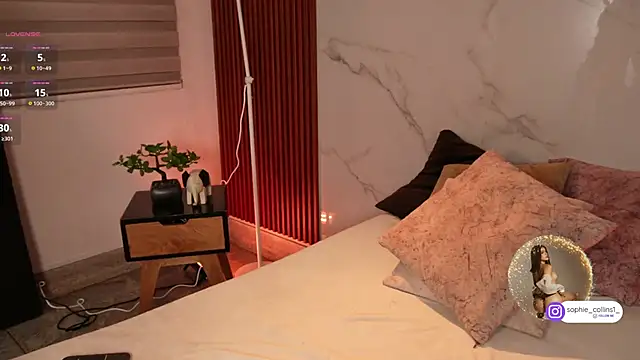 SophieCollins 1 online show from 10, 1, 2026