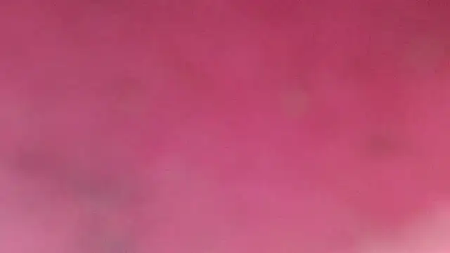 Shantall ks online show from 20, 2, 2026