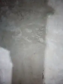 milo123-xx online show from 8, 2, 2026