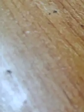 Markroco696 online show from 14, 10, 2025