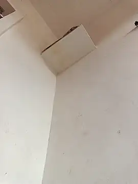 Dikchahot online show from 11, 11, 2025