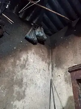  Helala  online show from 1, 2, 2026