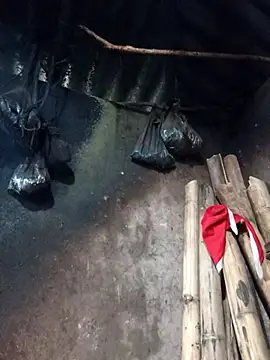  Helala  online show from 26, 2, 2026