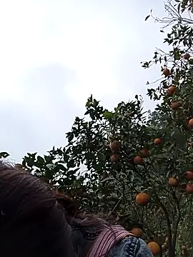  Helala  online show from 16, 12, 2025