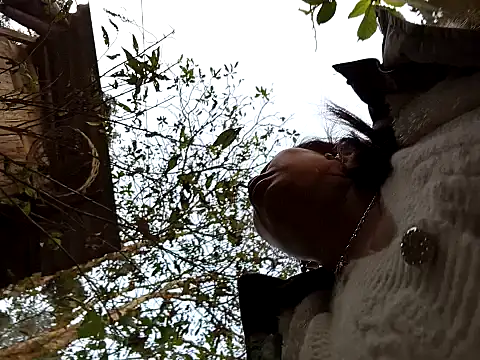  Helala  online show from 13, 1, 2026