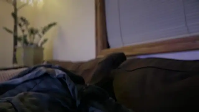 Ty lerDavid online show from 10, 1, 2026