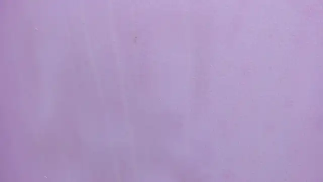 scarlett646 online show from 28, 2, 2026