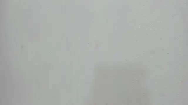 scarlett646 online show from 19, 11, 2025