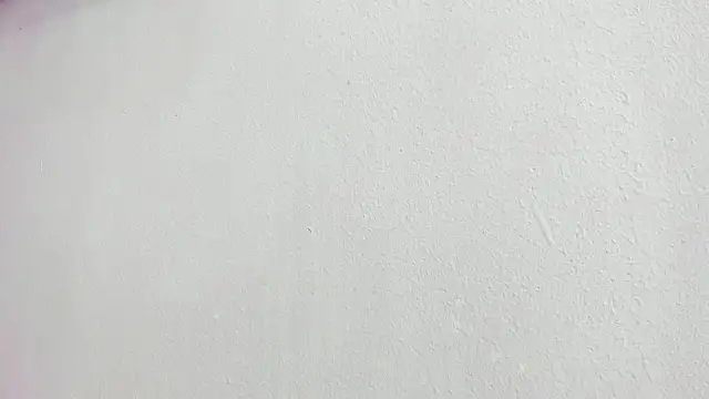 scarlett646 online show from 5, 3, 2026