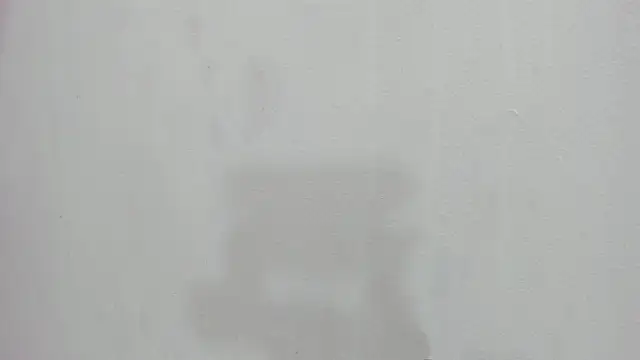 scarlett646 online show from 26, 11, 2025