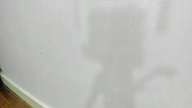 scarlett646 online show from 14, 1, 2026