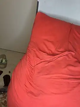 Vikehim online show from 10, 2, 2026