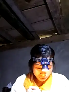 misa 00 online show from 14, 1, 2026