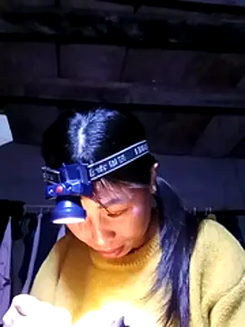 misa 00 online show from 8, 2, 2026