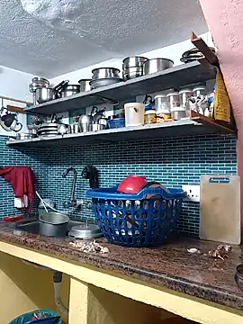 bakyasree143 online show from 26, 11, 2025