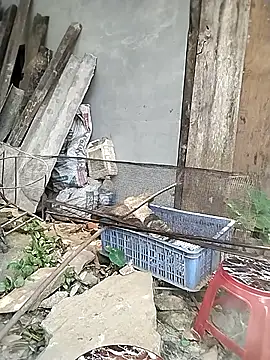 venu00 online show from 9, 4, 2026