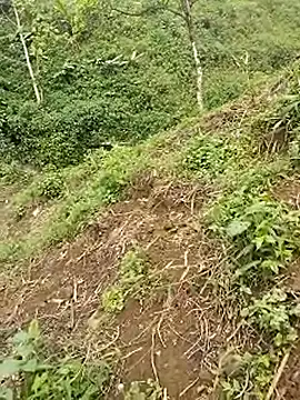 venu00 online show from 21, 4, 2026