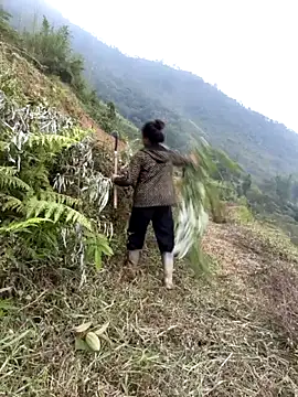 venu00 online show from 7, 5, 2026