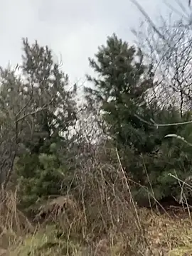 desiredude9 online show from 2, 11, 2025