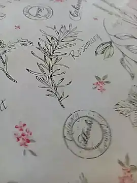 bemmagrinho36 online show from 18, 4, 2026