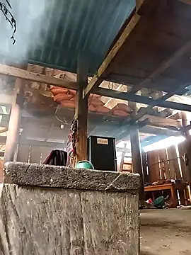 Ngocmi909 online show from 2, 3, 2026