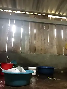 Ngocmi909 online show from 17, 11, 2025