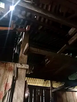 Ngocmi909 online show from 6, 3, 2026