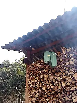 Ngocmi909 online show from 13, 1, 2026