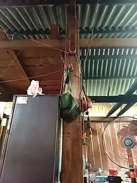 Ngocmi909 online show from 15, 4, 2026