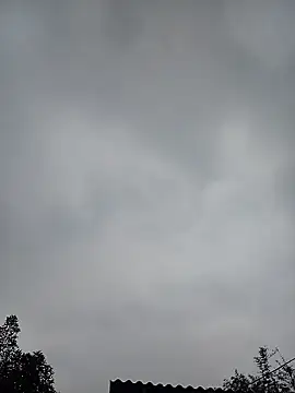 Ngocmi909 online show from 11, 1, 2026