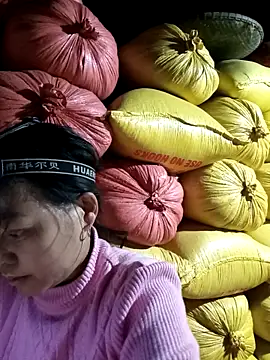 Sa2mh20 online show from 9, 2, 2026