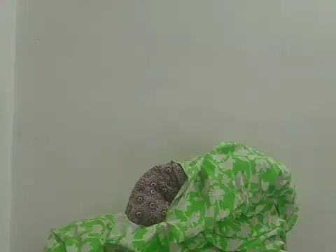 Vaani Singha online show from 4, 3, 2026