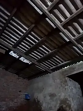 miss-su online show from 8, 4, 2026