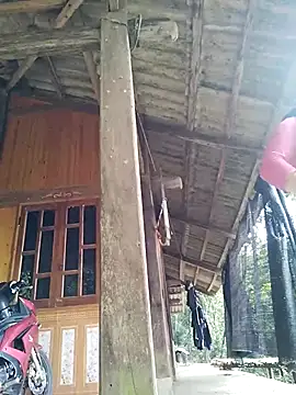 miss-su online show from 2, 3, 2026