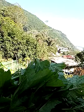 Maymay0033 online show from 29, 11, 2025