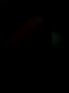 Novindapikgrossa online show from 19, 12, 2025