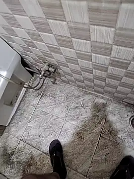 vers negi9 online show from 2, 2, 2026