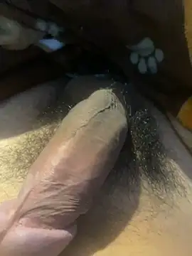 zzagreo online show from 4, 7, 2026