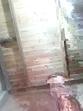 Fienjr online show from 12, 2, 2026