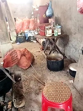 rubi bae online show from 24, 2, 2026