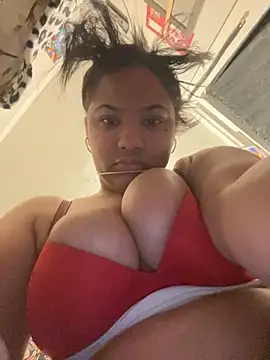 StylishEchium online show from 24, 11, 2025