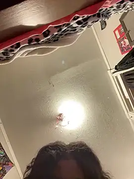 StylishEchium online show from 28, 2, 2026