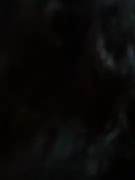 StylishEchium online show from 19, 1, 2026