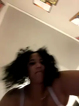 StylishEchium online show from 17, 11, 2025