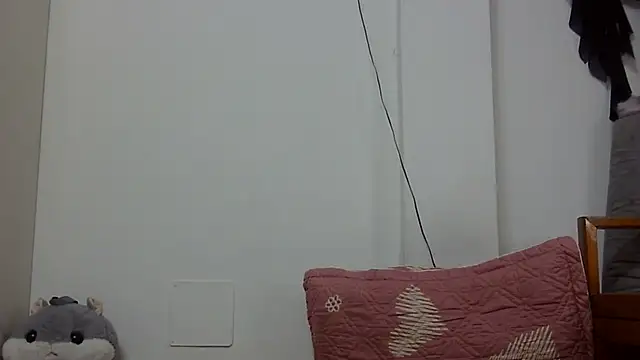 Kiko sunflower online show from 17, 6, 2026