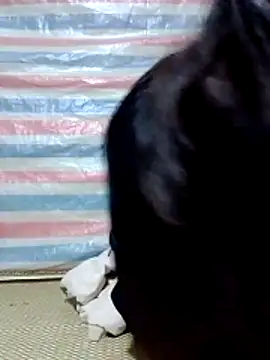 Georgia here online show from 16, 12, 2025