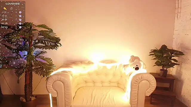 Moana light online show from 14, 11, 2025