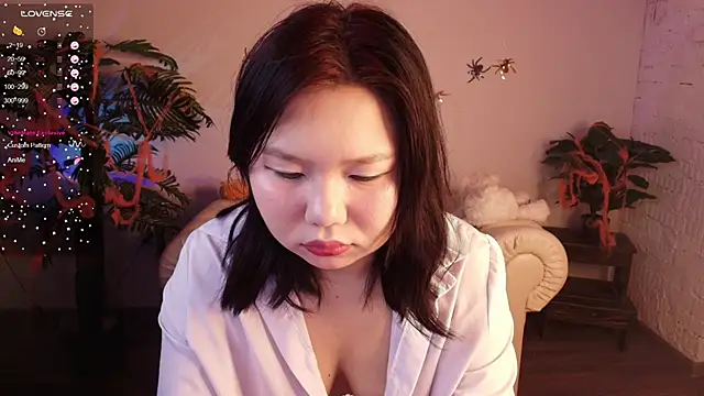 Moana light online show from 8, 11, 2025