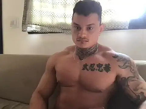 alegriadodia online show from 25, 11, 2025